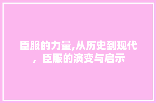 臣服的力量,从历史到现代，臣服的演变与启示