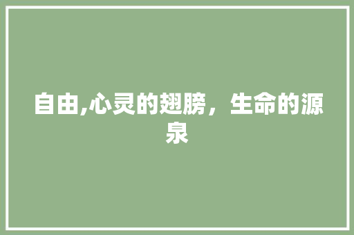 自由,心灵的翅膀，生命的源泉 应用文