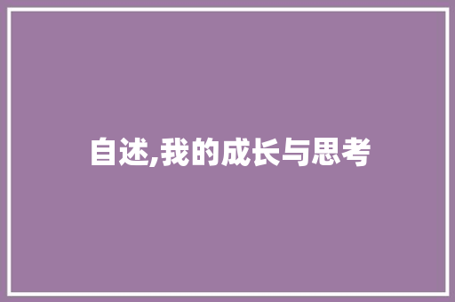 自述,我的成长与思考 诗词应用
