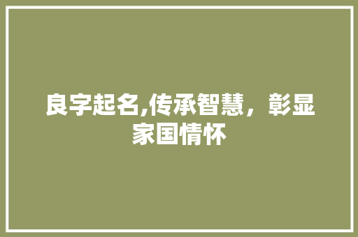 良字起名,传承智慧，彰显家国情怀