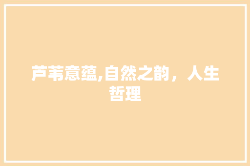 芦苇意蕴,自然之韵，人生哲理