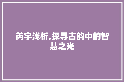 芮字浅析,探寻古韵中的智慧之光