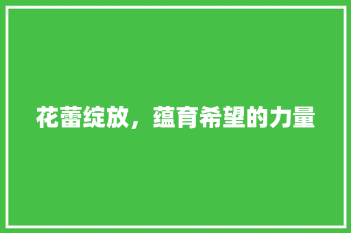 花蕾绽放，蕴育希望的力量