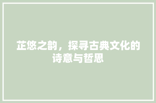 芷悠之韵，探寻古典文化的诗意与哲思