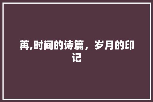 苒,时间的诗篇，岁月的印记