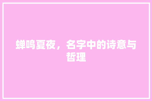 蝉鸣夏夜，名字中的诗意与哲理 项目报告