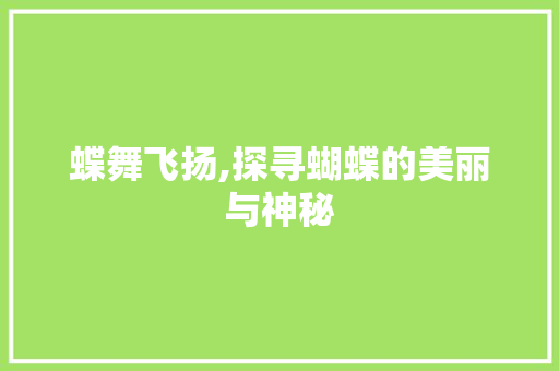 蝶舞飞扬,探寻蝴蝶的美丽与神秘 工作总结