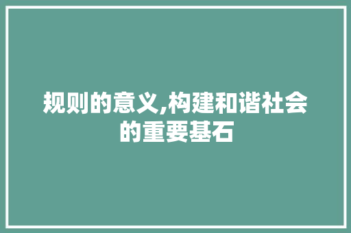 规则的意义,构建和谐社会的重要基石