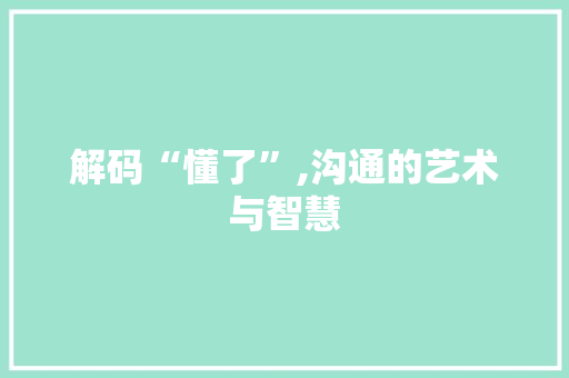 解码“懂了”,沟通的艺术与智慧