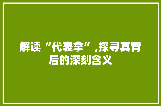 解读“代表拿”,探寻其背后的深刻含义