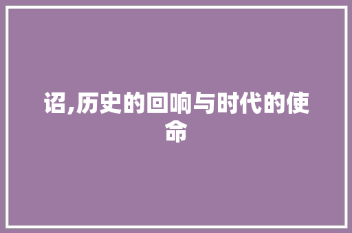 诏,历史的回响与时代的使命
