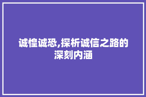 诚惶诚恐,探析诚信之路的深刻内涵