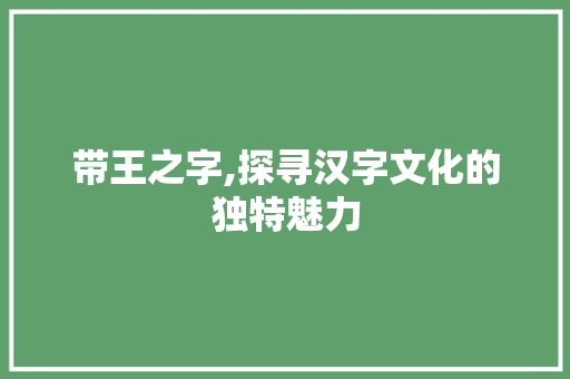 带王之字,探寻汉字文化的独特魅力