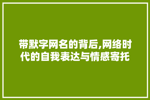 带默字网名的背后,网络时代的自我表达与情感寄托