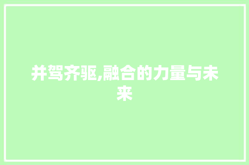 并驾齐驱,融合的力量与未来