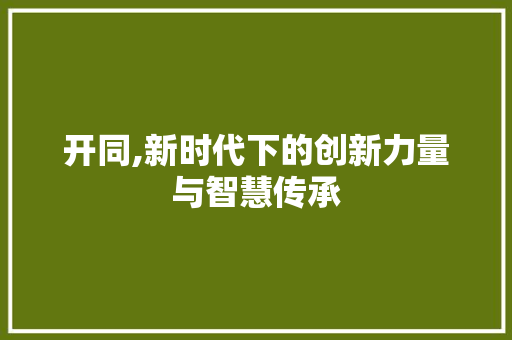 开同,新时代下的创新力量与智慧传承