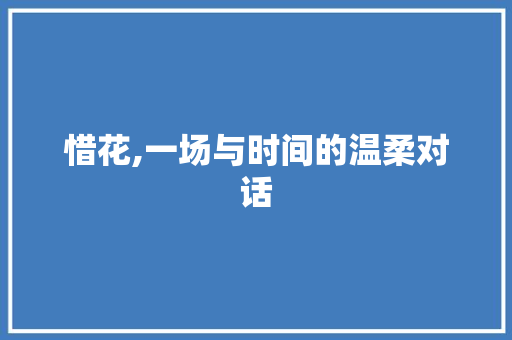 惜花,一场与时间的温柔对话