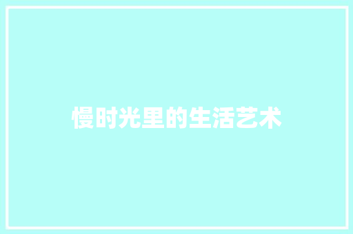 慢时光里的生活艺术 项目报告