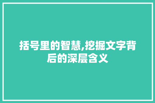括号里的智慧,挖掘文字背后的深层含义