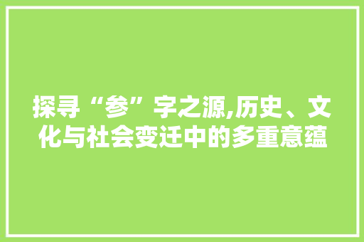 探寻“参”字之源,历史、文化与社会变迁中的多重意蕴