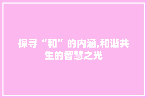 探寻“和”的内涵,和谐共生的智慧之光