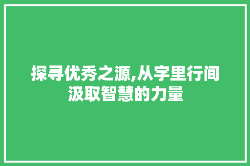 探寻优秀之源,从字里行间汲取智慧的力量