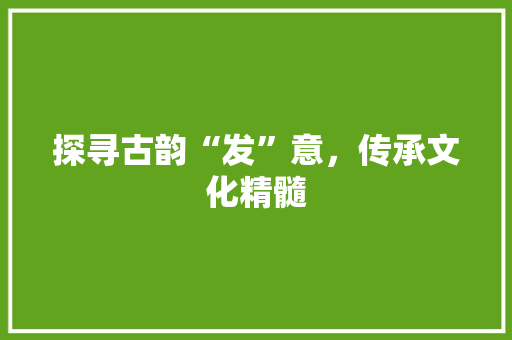 探寻古韵“发”意，传承文化精髓