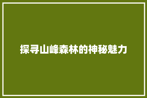 探寻山峰森林的神秘魅力 诗词鉴赏