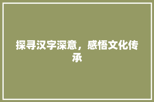 探寻汉字深意，感悟文化传承