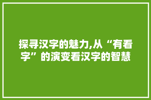 探寻汉字的魅力,从“有看字”的演变看汉字的智慧