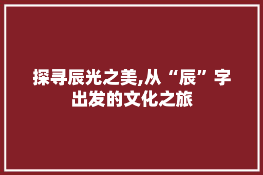 探寻辰光之美,从“辰”字出发的文化之旅