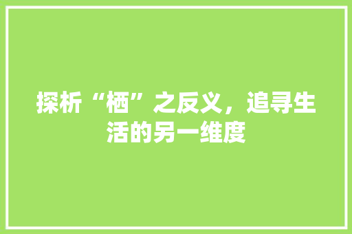 探析“栖”之反义，追寻生活的另一维度 诗词体裁