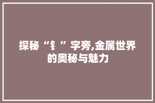 探秘“钅”字旁,金属世界的奥秘与魅力 社交媒体