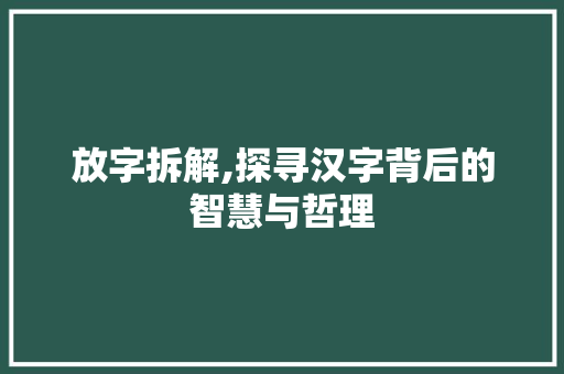 放字拆解,探寻汉字背后的智慧与哲理