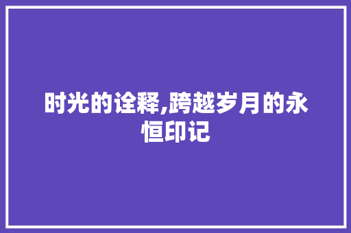 时光的诠释,跨越岁月的永恒印记