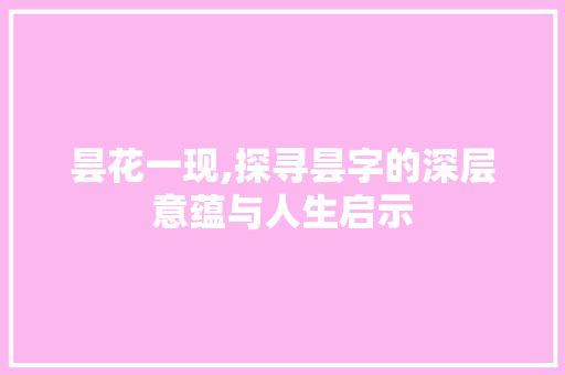 昙花一现,探寻昙字的深层意蕴与人生启示