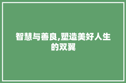 智慧与善良,塑造美好人生的双翼
