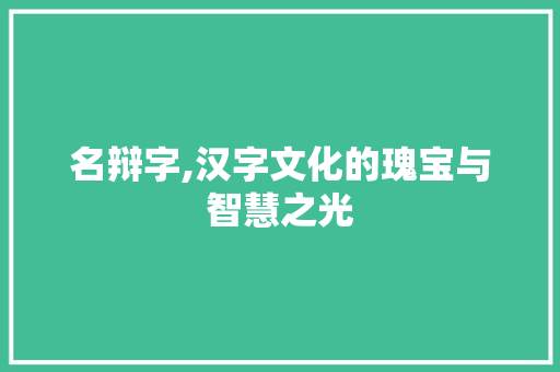 名辩字,汉字文化的瑰宝与智慧之光