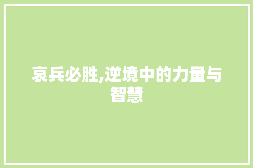 哀兵必胜,逆境中的力量与智慧