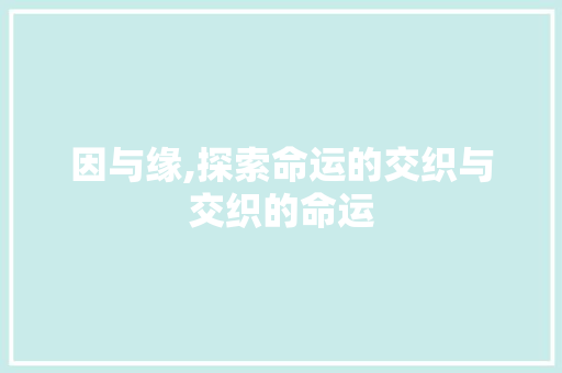 因与缘,探索命运的交织与交织的命运