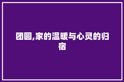 团圆,家的温暖与心灵的归宿