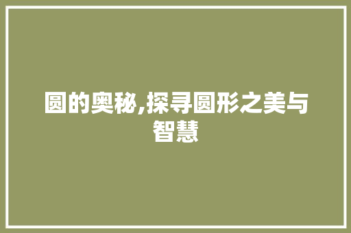 圆的奥秘,探寻圆形之美与智慧