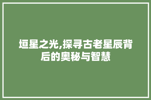 垣星之光,探寻古老星辰背后的奥秘与智慧 项目报告
