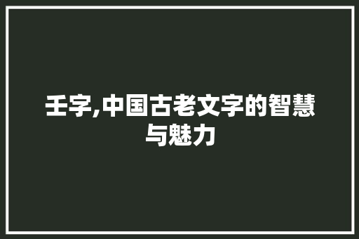 壬字,中国古老文字的智慧与魅力