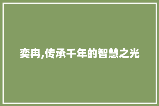 奕冉,传承千年的智慧之光 项目报告