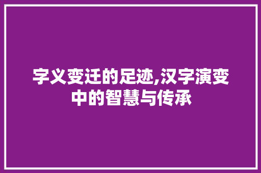 字义变迁的足迹,汉字演变中的智慧与传承