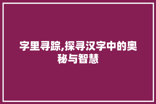 字里寻踪,探寻汉字中的奥秘与智慧