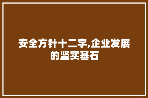 安全方针十二字,企业发展的坚实基石