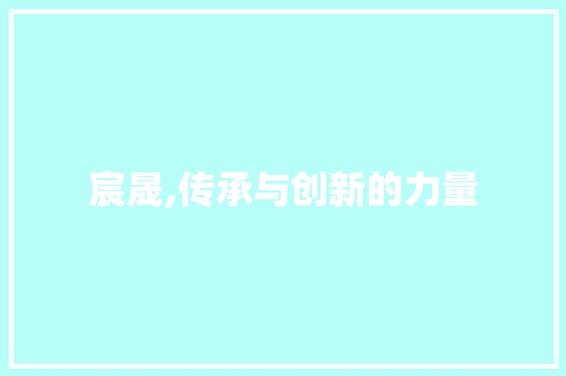 宸晟,传承与创新的力量