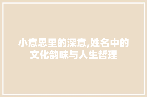 小意思里的深意,姓名中的文化韵味与人生哲理